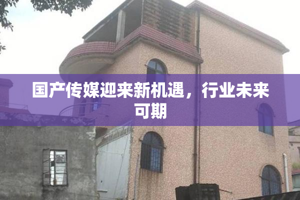 国产传媒迎来新机遇，行业未来可期