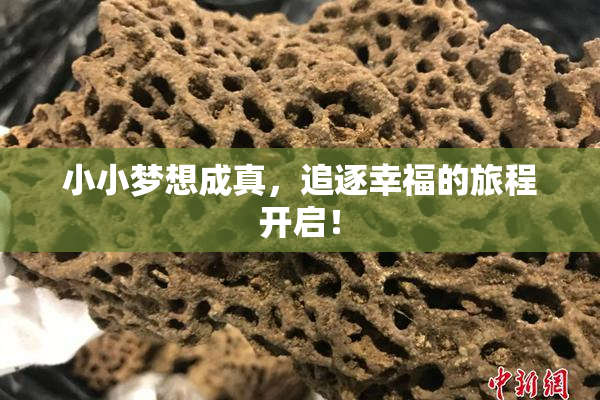 小小梦想成真，追逐幸福的旅程开启！