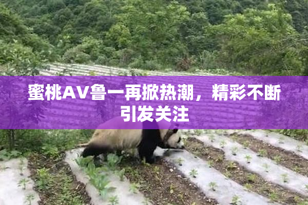 蜜桃AV鲁一再掀热潮，精彩不断引发关注