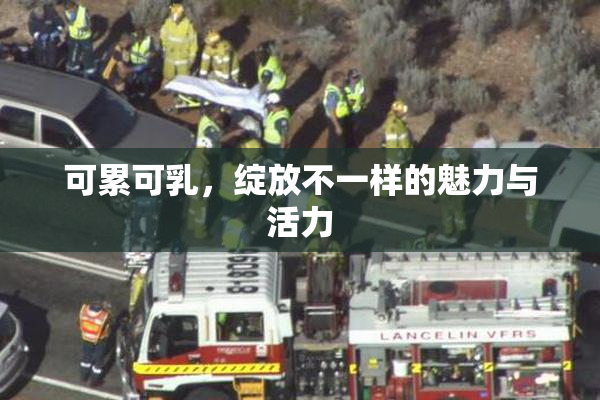 可累可乳，绽放不一样的魅力与活力