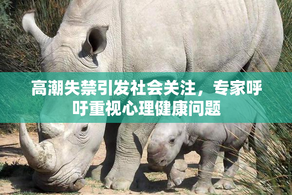 高潮失禁引发社会关注，专家呼吁重视心理健康问题