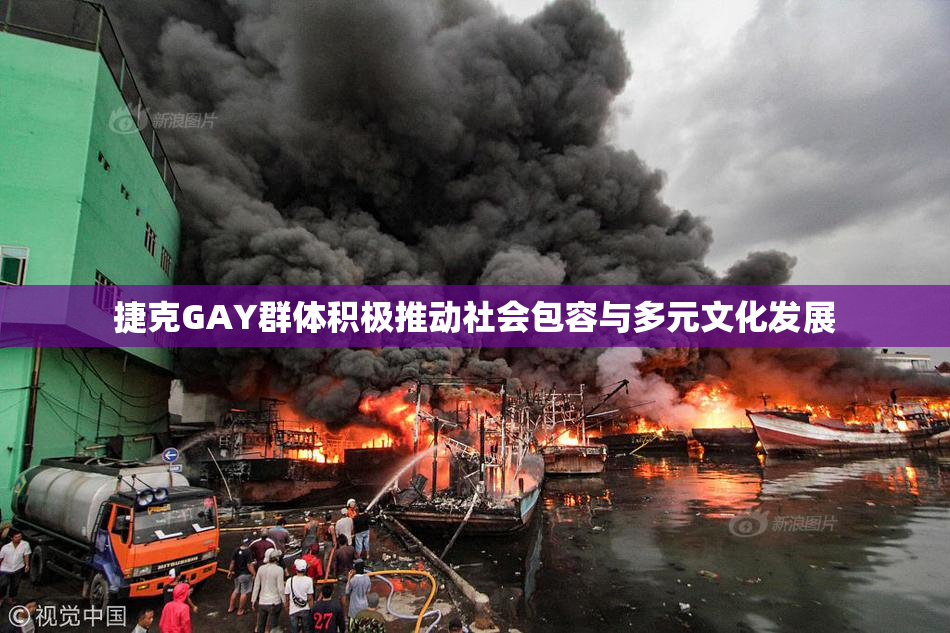 捷克GAY群体积极推动社会包容与多元文化发展