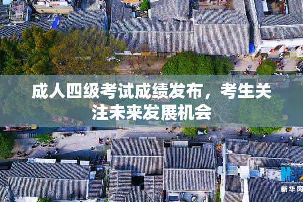 成人四级考试成绩发布，考生关注未来发展机会
