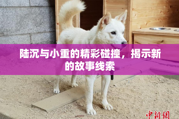 陆沉与小重的精彩碰撞，揭示新的故事线索