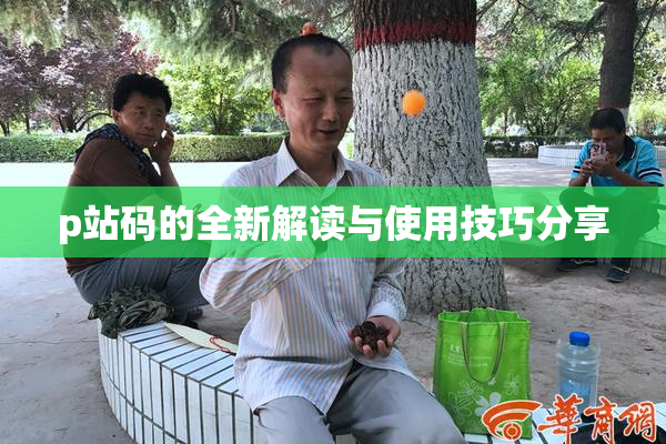 p站码的全新解读与使用技巧分享