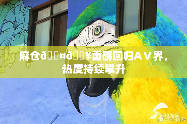 麻仓🖤🔥重磅回归AⅤ界，热度持续攀升