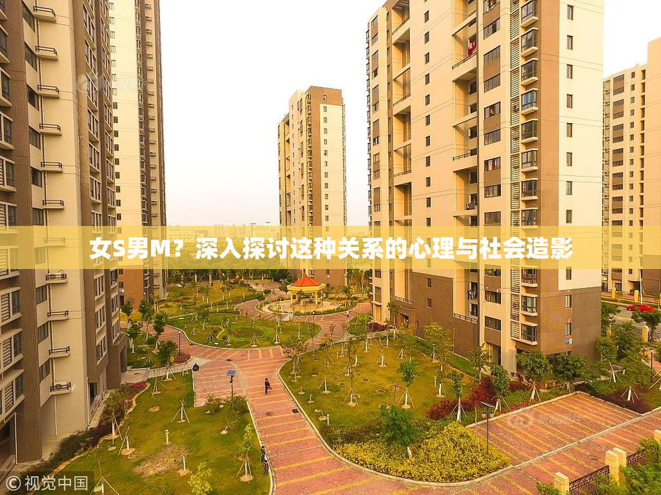 女S男M？深入探讨这种关系的心理与社会造影