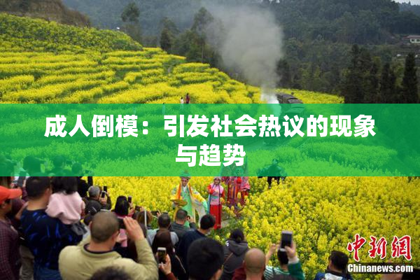 成人倒模：引发社会热议的现象与趋势