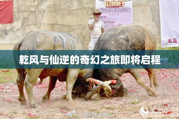 乾风与仙逆的奇幻之旅即将启程