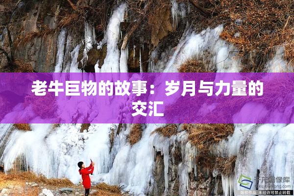 老牛巨物的故事：岁月与力量的交汇