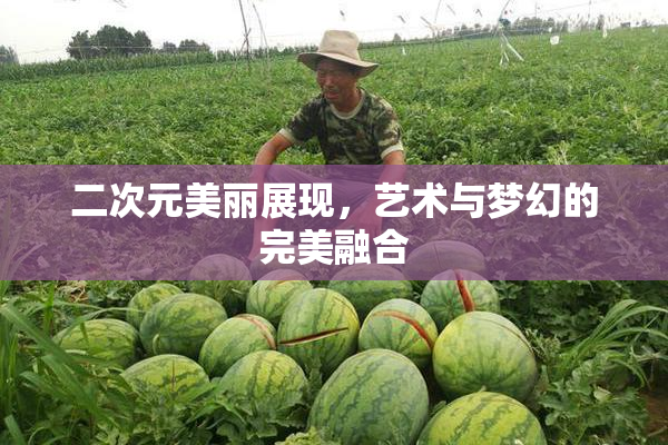 二次元美丽展现，艺术与梦幻的完美融合