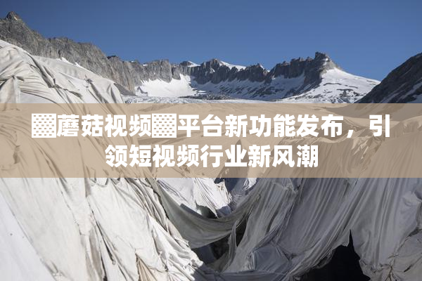 ▓蘑菇视频▓平台新功能发布，引领短视频行业新风潮