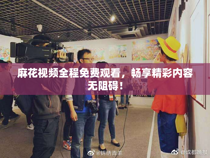 麻花视频全程免费观看，畅享精彩内容无阻碍！