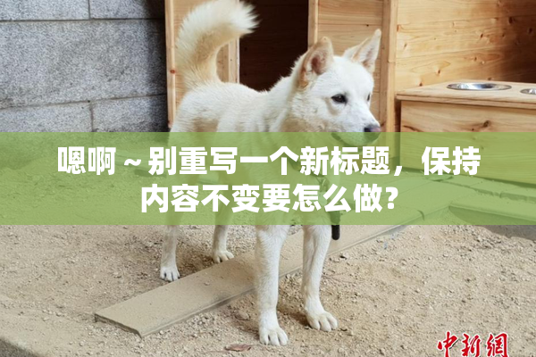 嗯啊～别重写一个新标题，保持内容不变要怎么做？