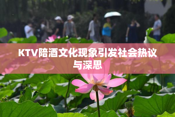 KTV陪酒文化现象引发社会热议与深思