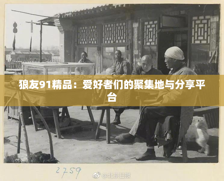 狼友91精品：爱好者们的聚集地与分享平台