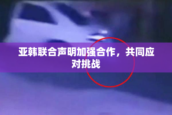 亚韩联合声明加强合作，共同应对挑战