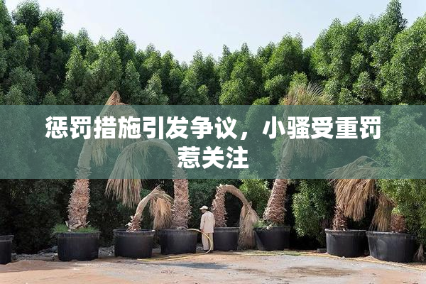 惩罚措施引发争议，小骚受重罚惹关注