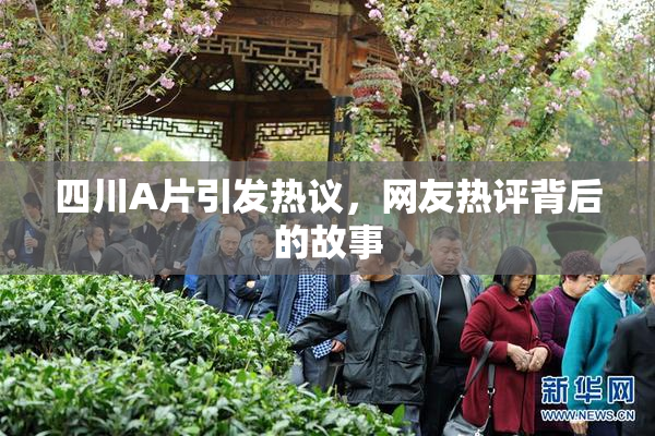 四川A片引发热议，网友热评背后的故事