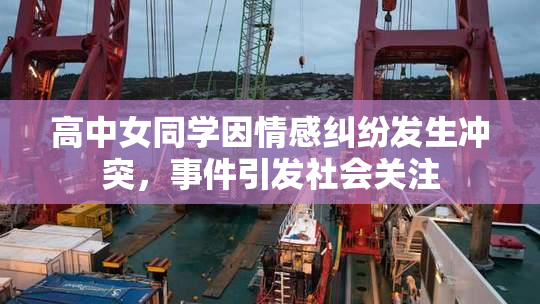 高中女同学因情感纠纷发生冲突，事件引发社会关注
