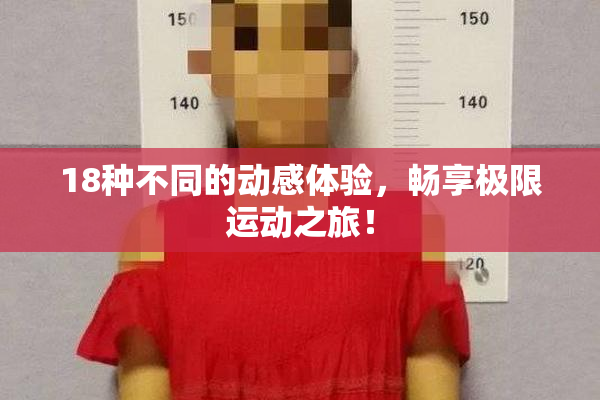 18种不同的动感体验，畅享极限运动之旅！