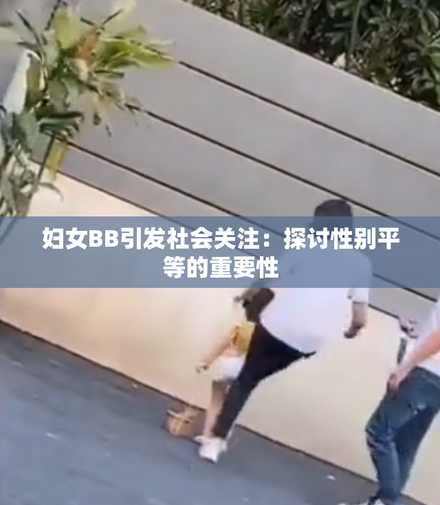 妇女BB引发社会关注：探讨性别平等的重要性