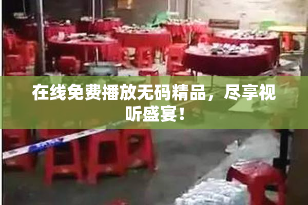 在线免费播放无码精品，尽享视听盛宴！