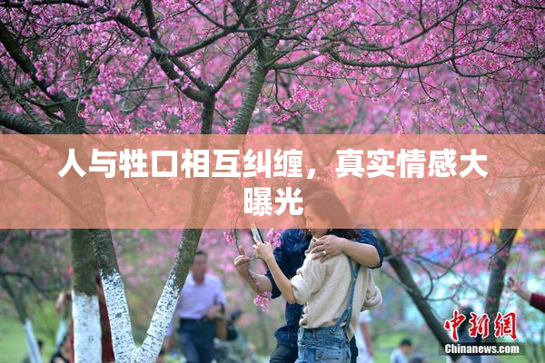 人与牲口相互纠缠，真实情感大曝光