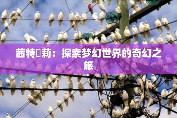 茜特菈莉：探索梦幻世界的奇幻之旅