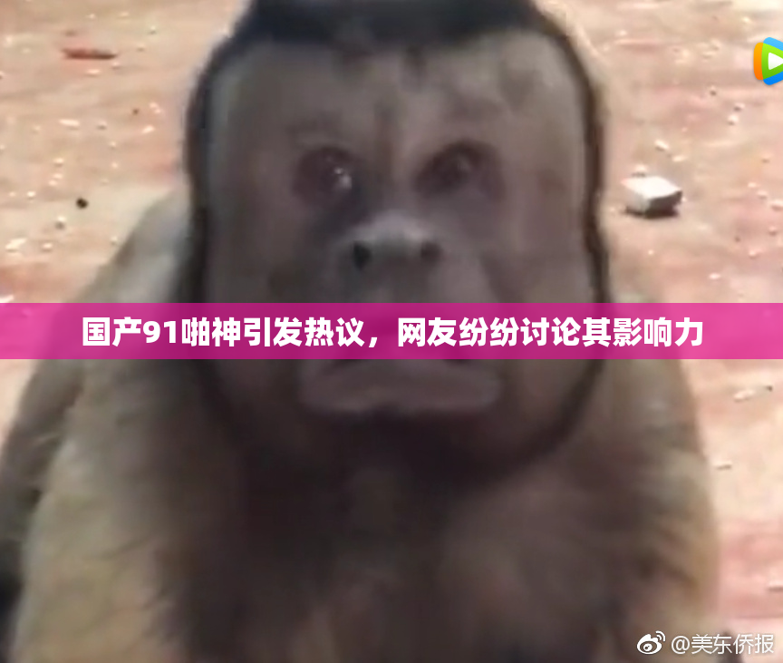 国产91啪神引发热议，网友纷纷讨论其影响力