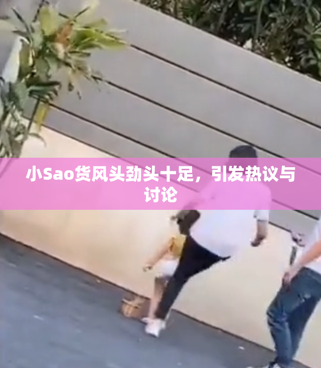 小Sao货风头劲头十足，引发热议与讨论