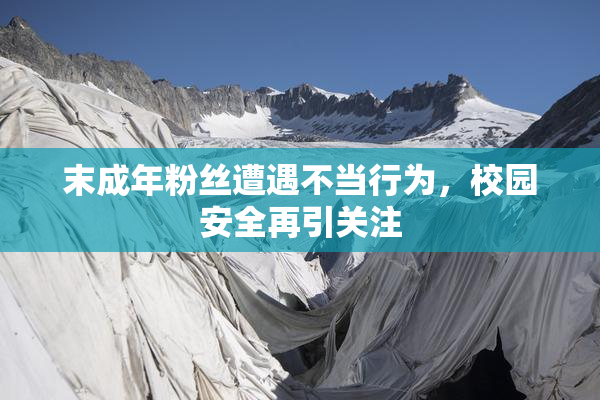 末成年粉丝遭遇不当行为，校园安全再引关注