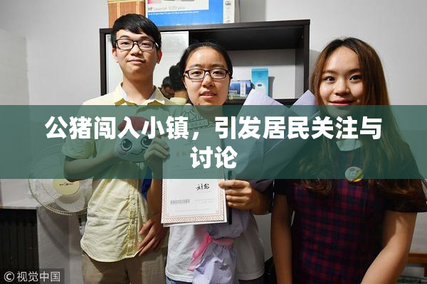 公猪闯入小镇，引发居民关注与讨论