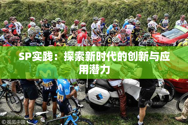 SP实践：探索新时代的创新与应用潜力