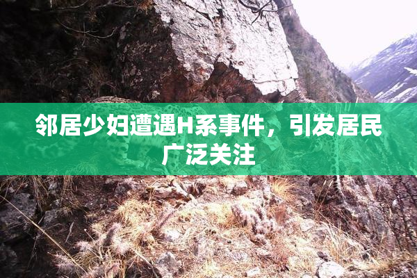 邻居少妇遭遇H系事件，引发居民广泛关注