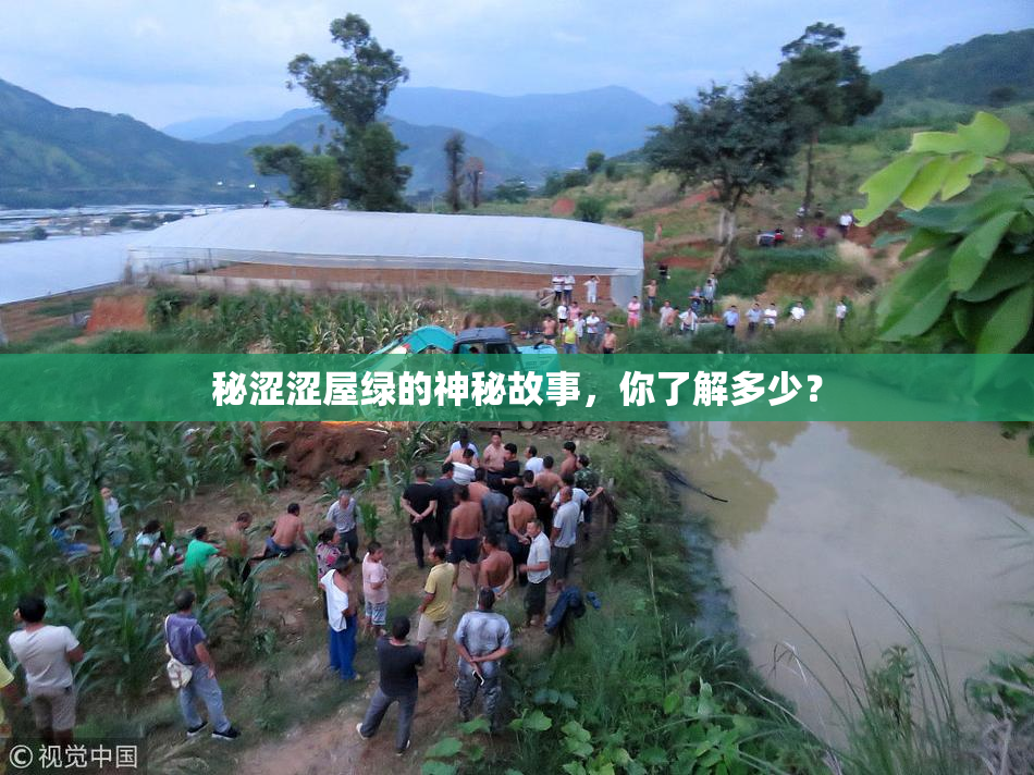 秘涩涩屋绿的神秘故事，你了解多少？