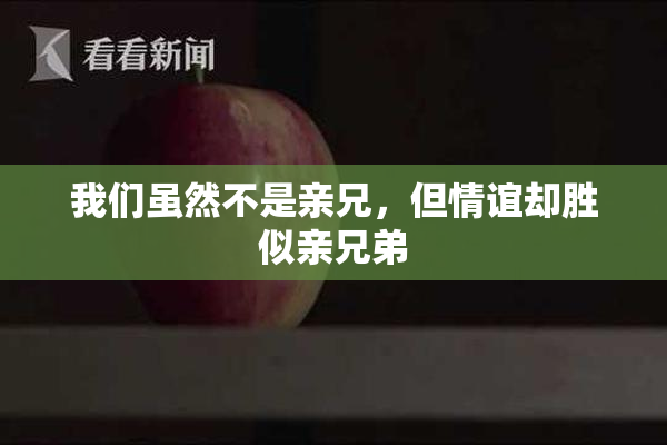 我们虽然不是亲兄，但情谊却胜似亲兄弟