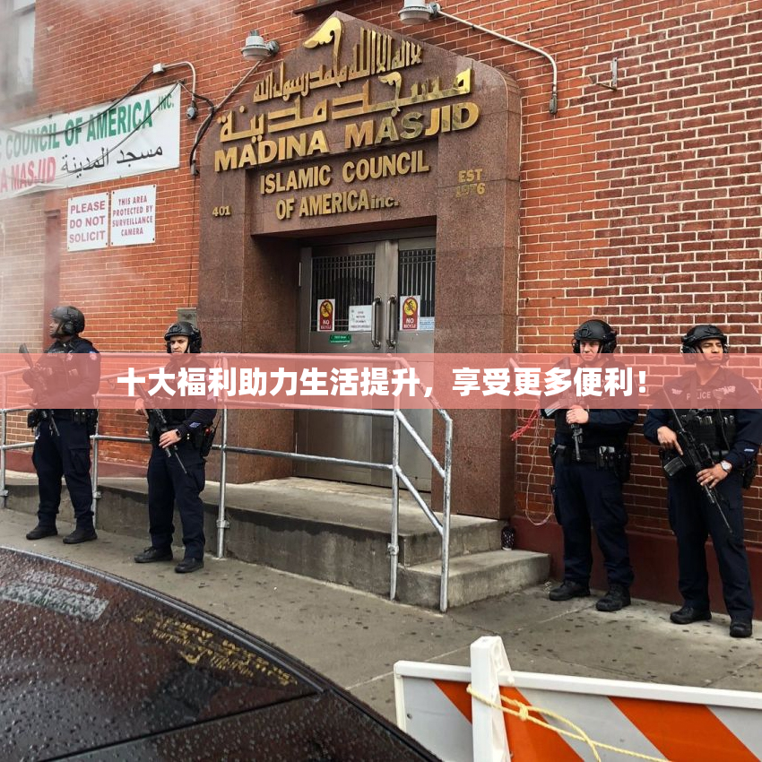 十大福利助力生活提升，享受更多便利！