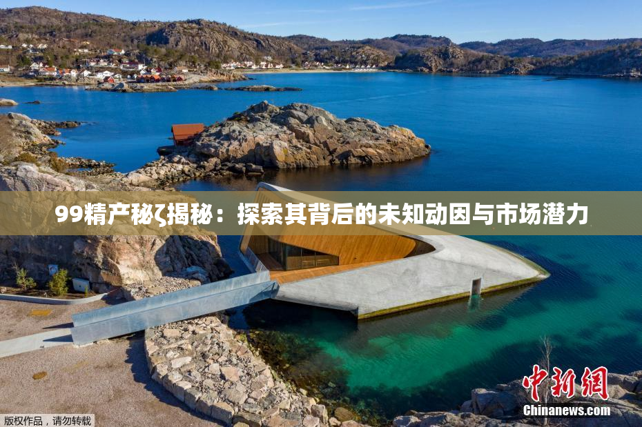 99精产秘ζ揭秘：探索其背后的未知动因与市场潜力