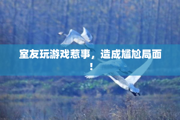 室友玩游戏惹事，造成尴尬局面！