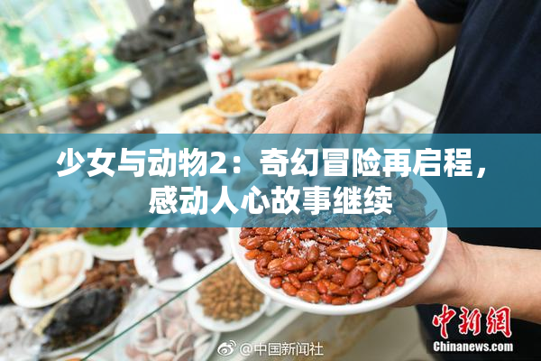 少女与动物2：奇幻冒险再启程，感动人心故事继续