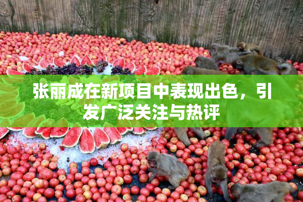 张丽成在新项目中表现出色，引发广泛关注与热评
