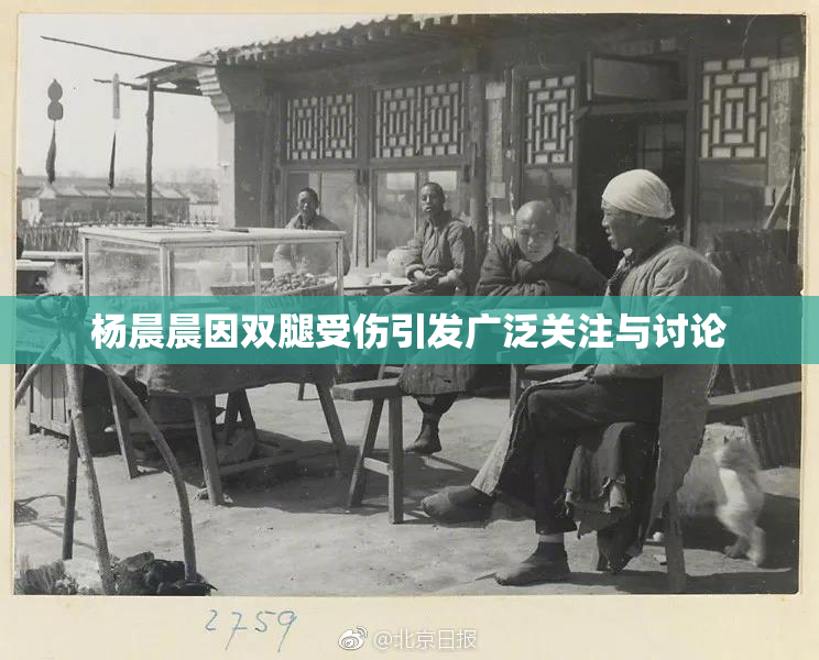 杨晨晨因双腿受伤引发广泛关注与讨论