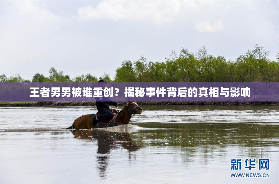 王者男男被谁重创？揭秘事件背后的真相与影响