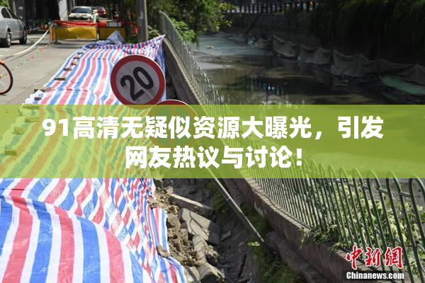 91高清无疑似资源大曝光，引发网友热议与讨论！