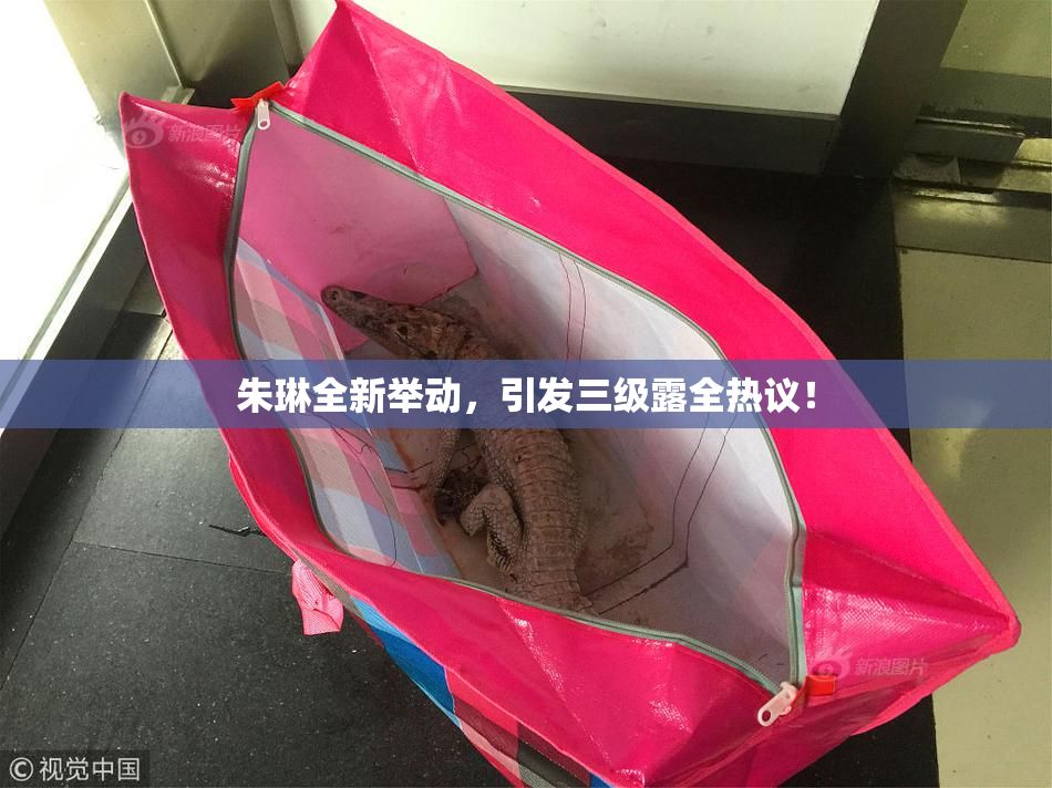 朱琳全新举动，引发三级露全热议！