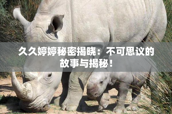 久久婷婷秘密揭晓：不可思议的故事与揭秘！