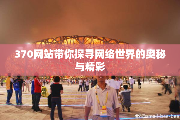 370网站带你探寻网络世界的奥秘与精彩