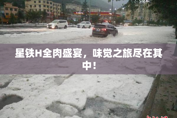 星铁H全肉盛宴，味觉之旅尽在其中！