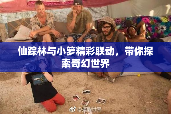 仙踪林与小箩精彩联动，带你探索奇幻世界
